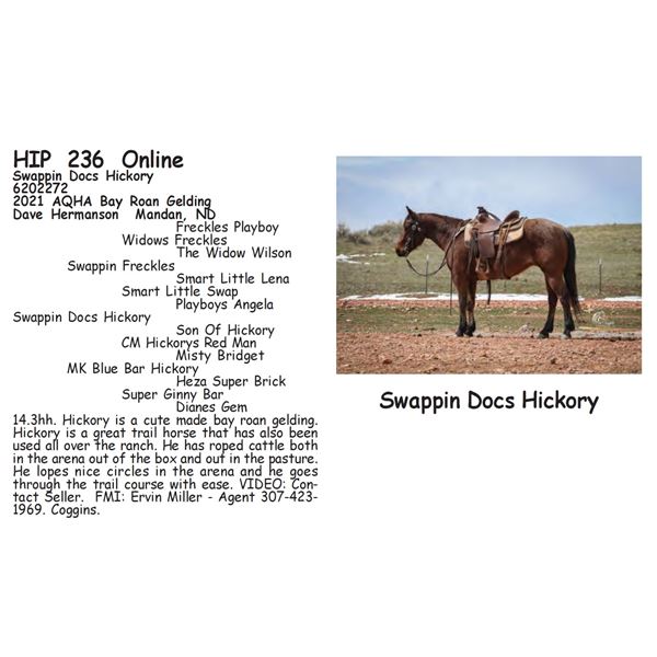 Swappin Docs Hickory