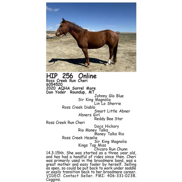 Ross Creek Run Cheri