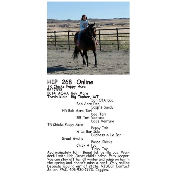 TR Chicks Peppy Acre