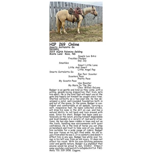 Smarts Gottalotta Go