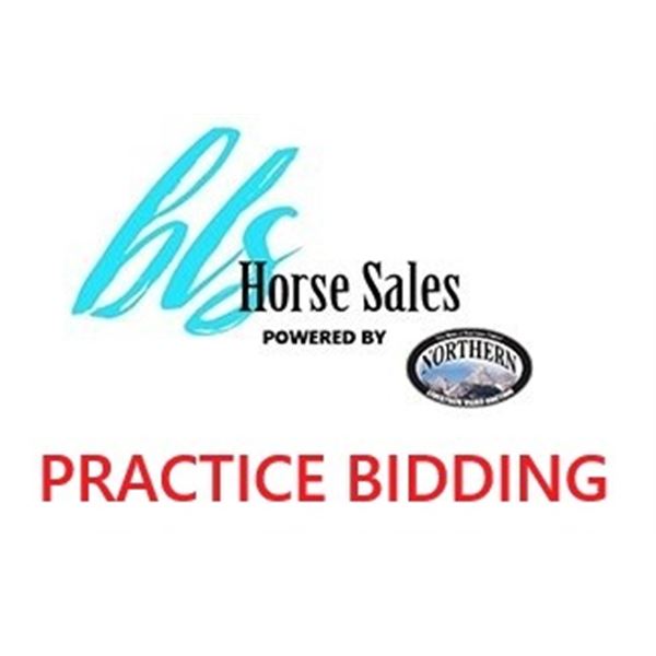 PRACTICE BIDDING