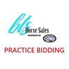 Image 1 : PRACTICE BIDDING