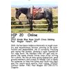 Image 1 : Colt