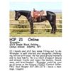 Image 1 : Wrangler
