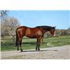 Image 2 : Lady Is Smooth