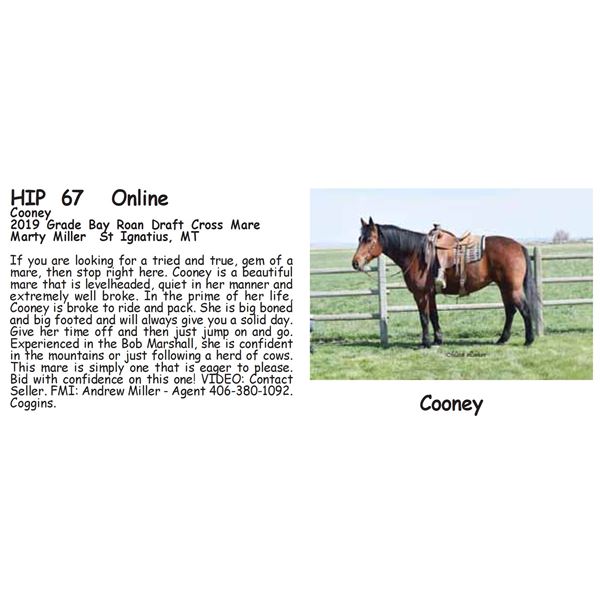 Cooney