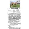 Image 1 : Royal Cat Can Dash