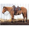 Image 4 : Cowboy