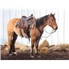 Image 5 : Cowboy