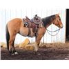 Image 6 : Cowboy