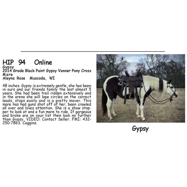 Gypsy