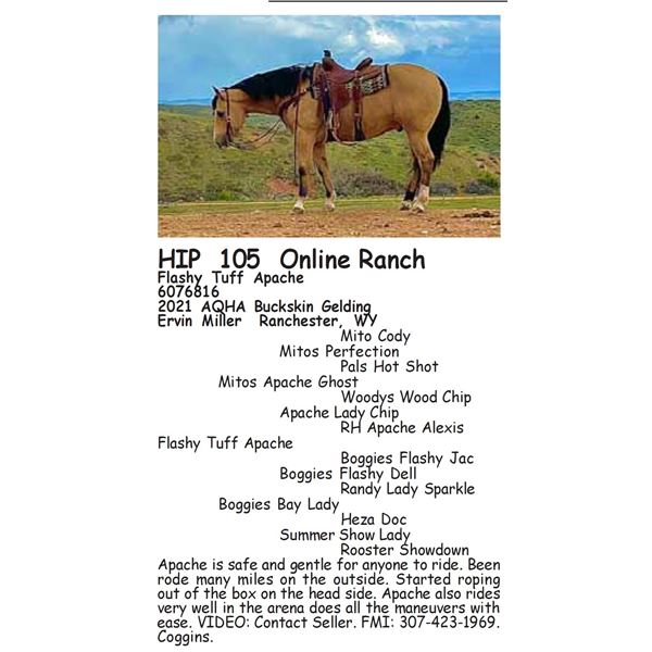 Flashy Tuff Apache