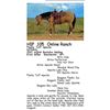 Image 1 : Flashy Tuff Apache