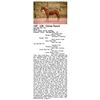 Image 1 : Cee Red Bar Fly
