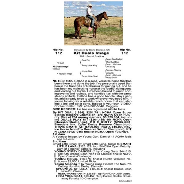 Kit Duals Image