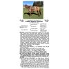 Image 1 : Little Gypsy Dancer