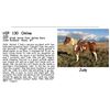 Image 1 : Judy