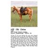 Image 1 : Cinch