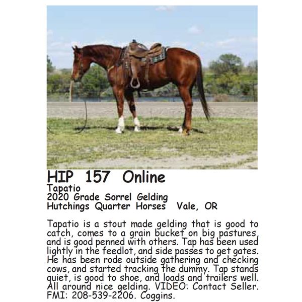 Tapatio