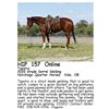 Image 1 : Tapatio