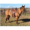Image 3 : Chiefs Sedona Saphire