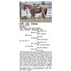 Image 1 : Cat Del Rio Dr