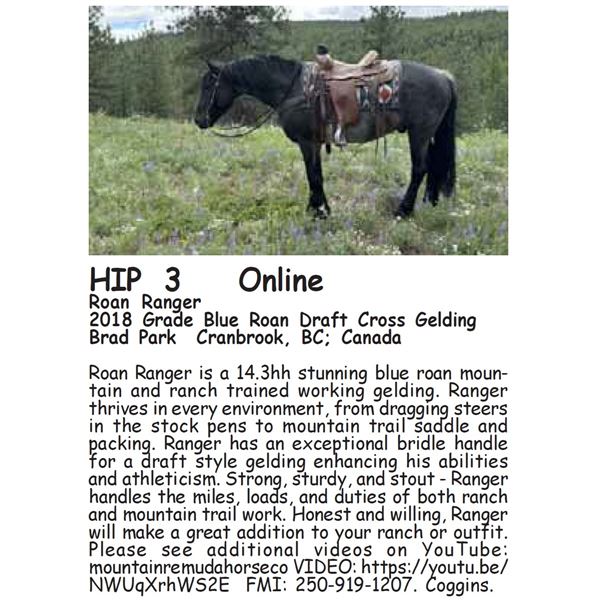 Roan Ranger