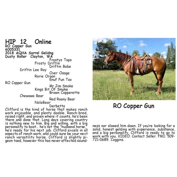 RO Copper Gun