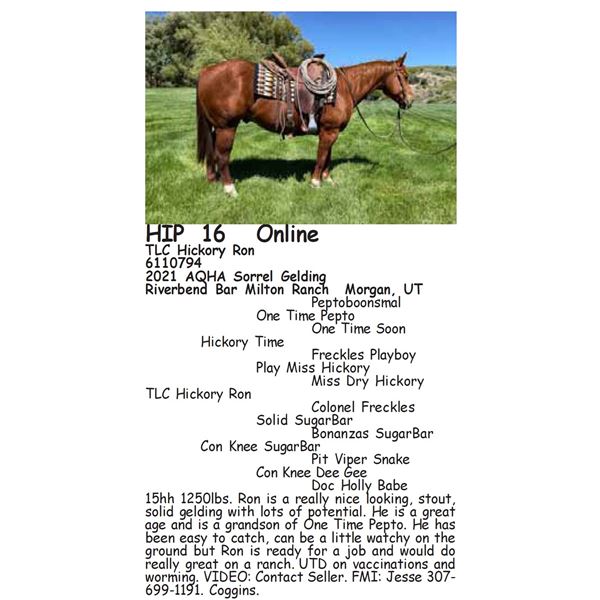 TLC Hickory Ron