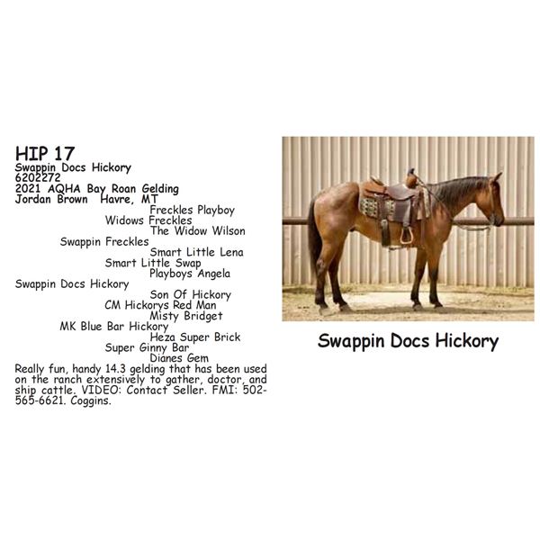 Swappin Docs Hickory