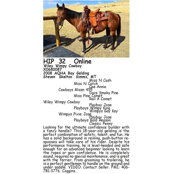 Wiley Wimpy Cowboy