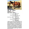 Image 1 : Wiley Wimpy Cowboy