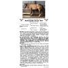 Image 1 : Ashwoods Cover Girl