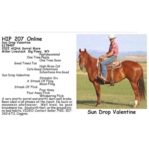 Sun Drop Valentine