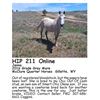 Image 1 : Jenn