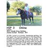 Image 1 : Lariat