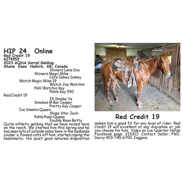 Red Credit 19