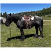 Image 2 : Candys Dandy BLQ