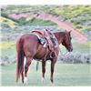 Image 4 : Playcat
