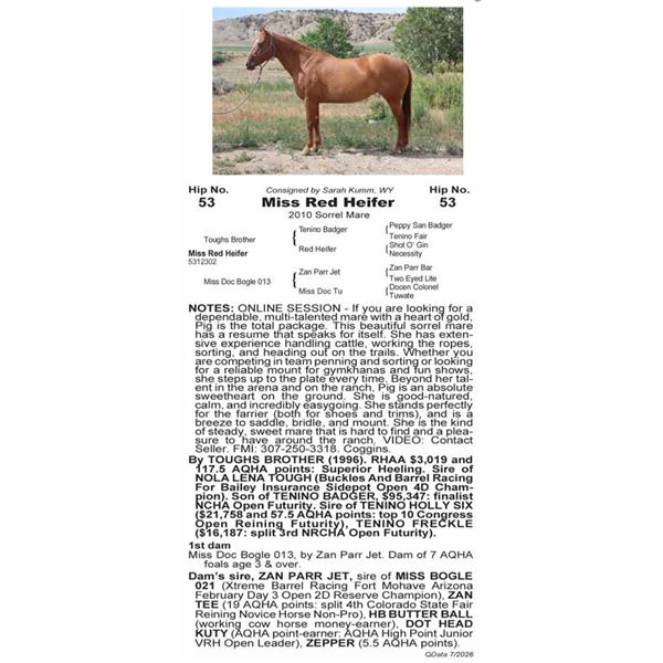 Miss Red Heifer