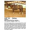 Image 1 : Sampson