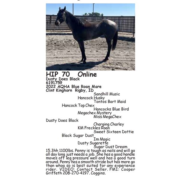 Dusty Does Black