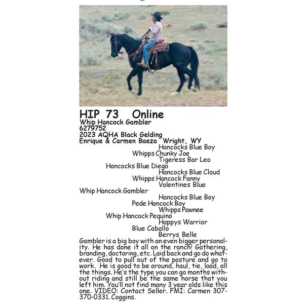 Whip Hancock Gambler