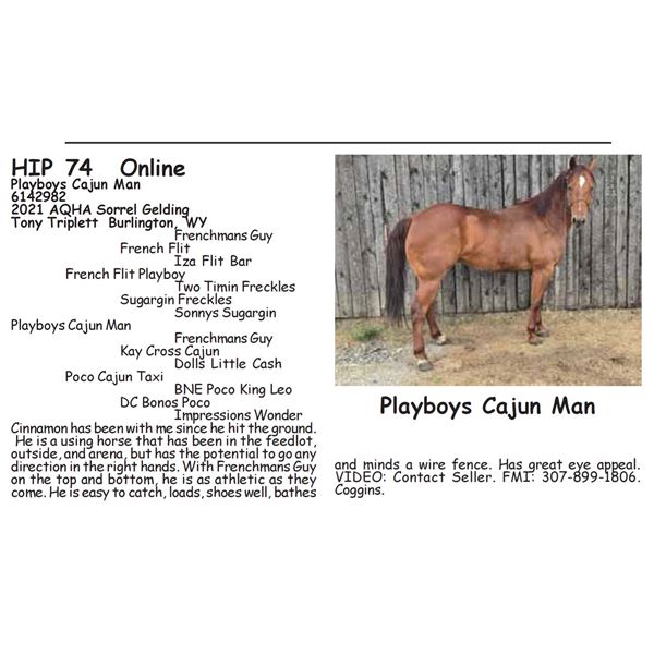 Playboys Cajun Man