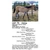 Image 1 : KQH Miss Watch Tyree