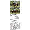 Image 1 : Rolling Sage