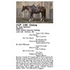Image 1 : BL Cash NBoomer