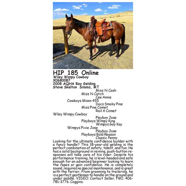 Wiley Wimpy Cowboy