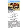 Image 1 : Wiley Wimpy Cowboy