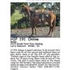Image 1 : Bango